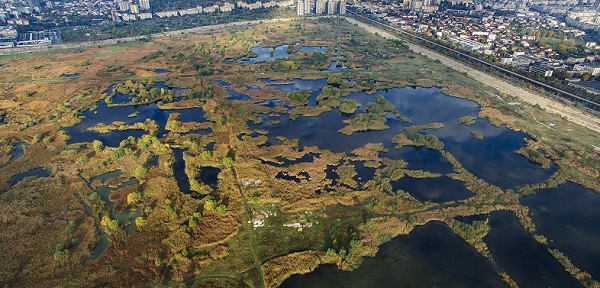 parc natural vacaresti